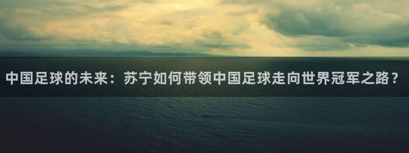 足球世界杯：中国足球的未来：苏宁如何带领中国足球走向世界冠军之路？