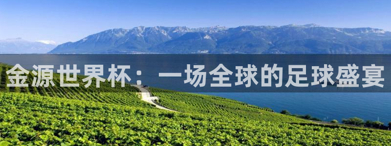 世界杯系列赛：金源世界杯：一场全球的足球盛宴