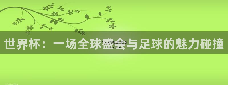 世界杯官网入口：世界杯：一场全球盛会与足球的魅力碰撞