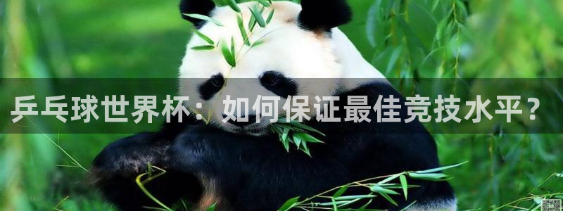 世界杯直播网：乒乓球世界杯：如何保证最佳竞技水平？