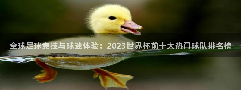 世界杯预选赛2026：全球足球竞技与球迷体验：2023世界杯前十大热门球队排名榜