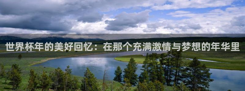 世界杯预选赛2026：世界杯年的美好回忆：在那个充满激情与梦想的年华里