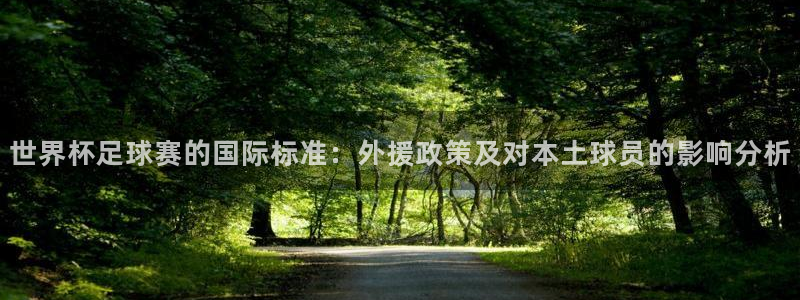 亚洲杯足球：世界杯足球赛的国际标准：外援政策及对本土球员的影响分析