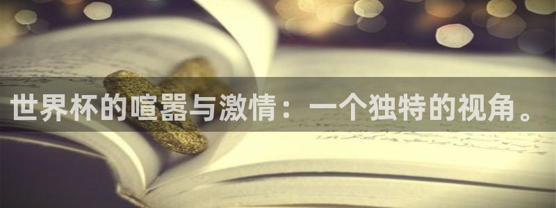 2026世界杯：世界杯的喧嚣与激情：一个独特的视角。