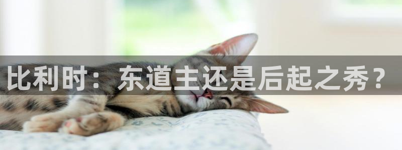 2026世界杯亚洲区预选赛：比利时：东道主还是后起之秀？