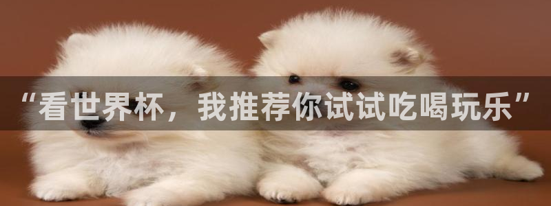 世界杯官网入口：“看世界杯，我推荐你试试吃喝玩乐”