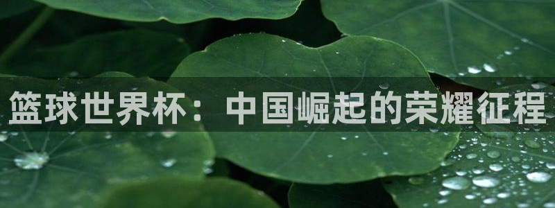 足球世预赛：篮球世界杯：中国崛起的荣耀征程