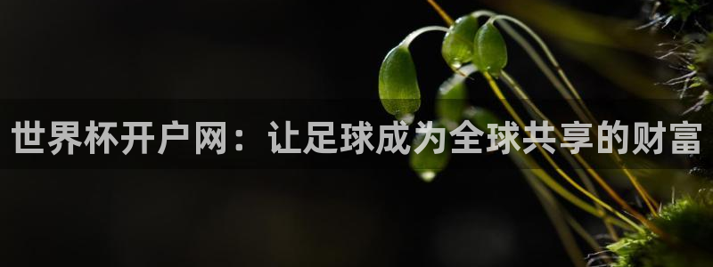 亚洲杯足球：世界杯开户网：让足球成为全球共享的财富