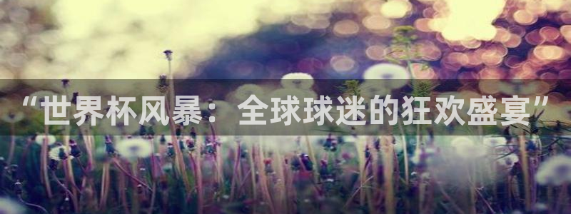 足球比分直播世界杯：“世界杯风暴：全球球迷的狂欢盛宴”