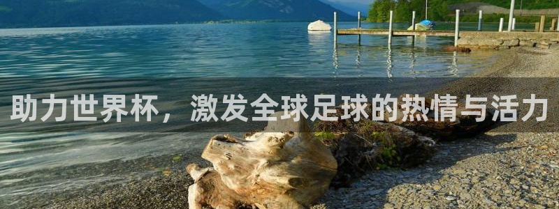 世界杯决赛圈球队：助力世界杯，激发全球足球的热情与活力